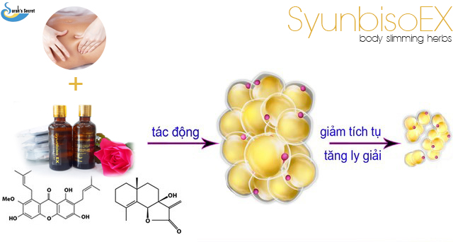 thảo dược giảm cân syunbisoex, giam can thao duoc, thao duoc giam can